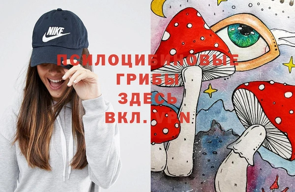 молекула духа Алексеевка