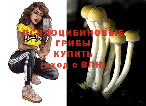ГАЛЛЮЦИНОГЕННЫЕ ГРИБЫ Алексин