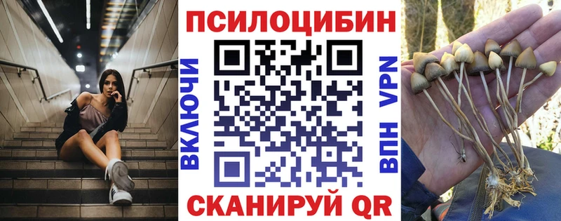 мега зеркало Котовск Галлюциногенные грибы ЛСД